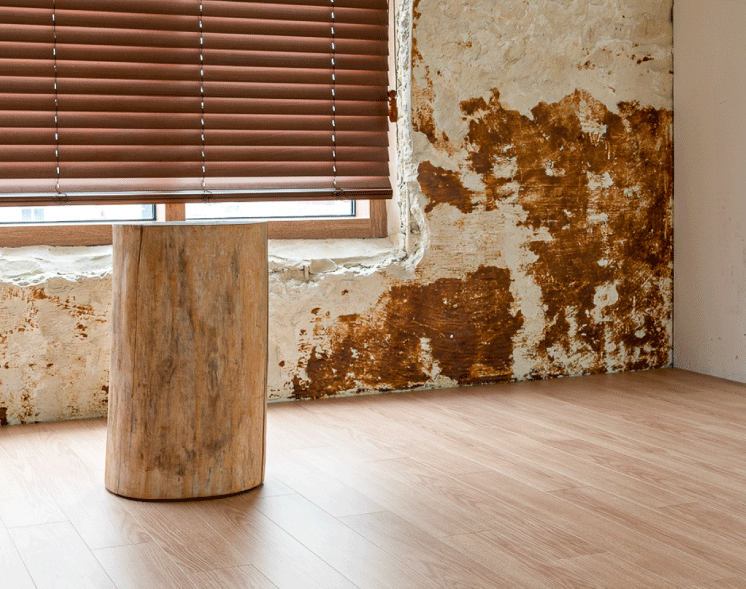 235149625_nXSqRw7Z_521ebca1b2eca19ca0af934bb4c691a48d4f710c.png 이미지크게보기