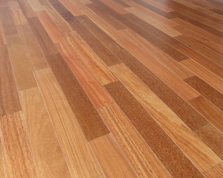 235149625_XfMwySTY_177a5970af1b100fae9b5a4c57e1c72a4af80a0b.png 이미지크게보기